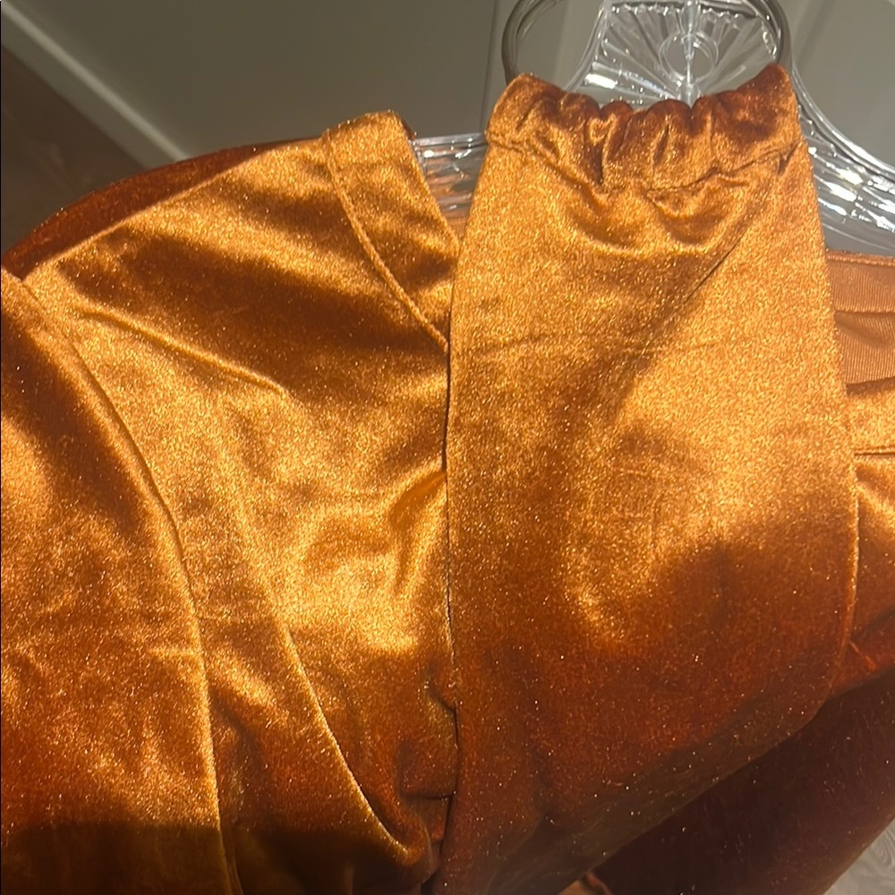 Brown Velvet Short Sleeve Top with Belt - Picture 5 of 6